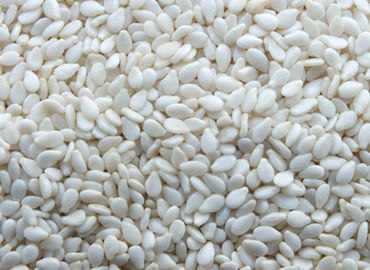 Wollega Sesame Seed